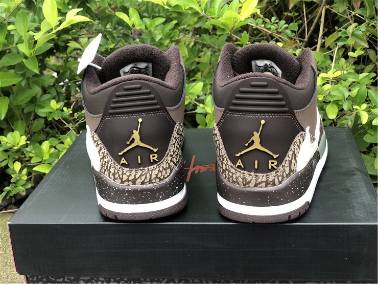 Air Jordan 3 TS