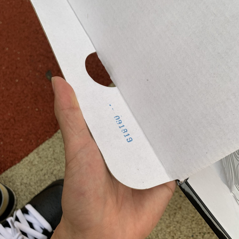 Nike SB Dunk Low Pro “Roswell Raygun”