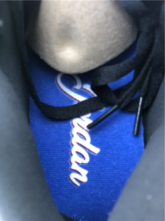 Air Jordan 1 Mid Union