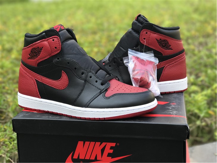 Air Jordan 1 “Prohibit”