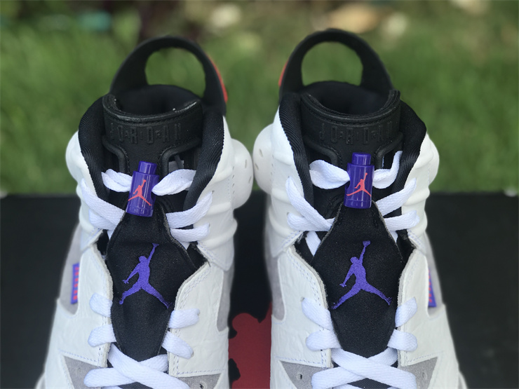 AIR JORDAN 6 Flint AJ6 UV gray crack