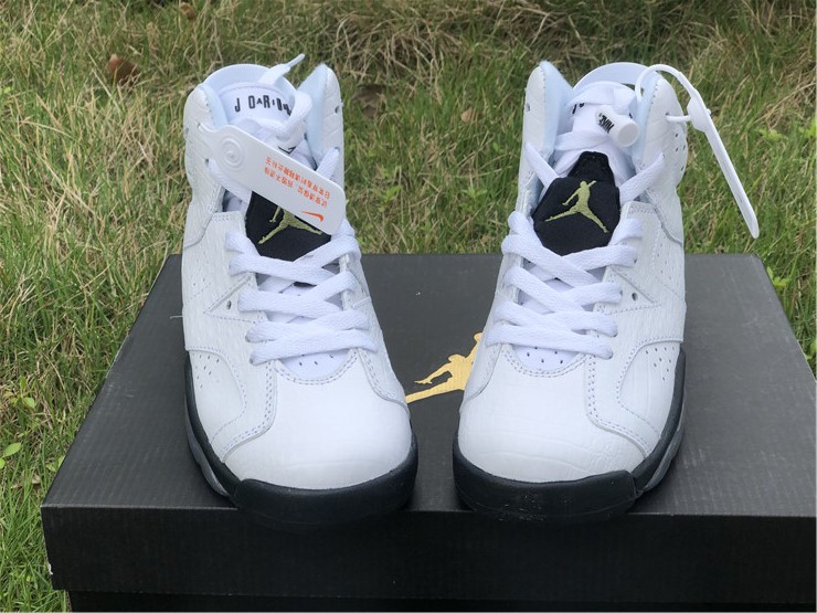 Air Jordan 6 GS “Alligator”