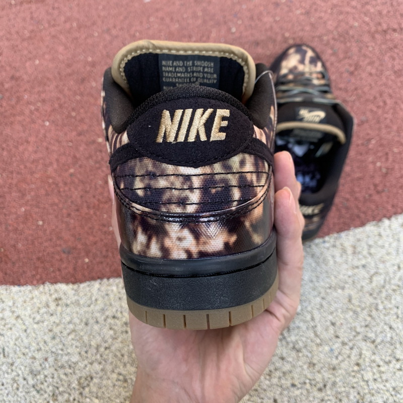 Nike SB Dunk Low Pushed 2