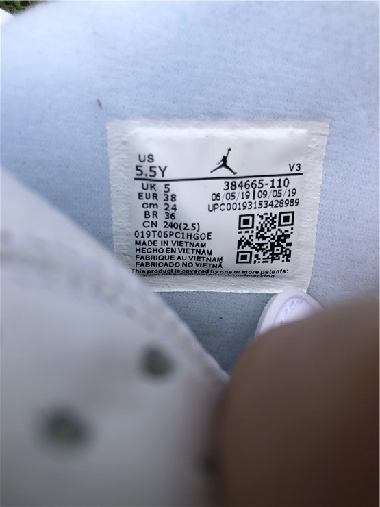 Air Jordan 6 GS “Alligator”