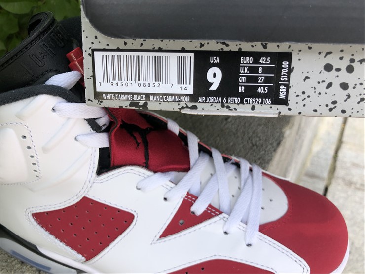 Air Jordan 6 Retro Carmine (2021)