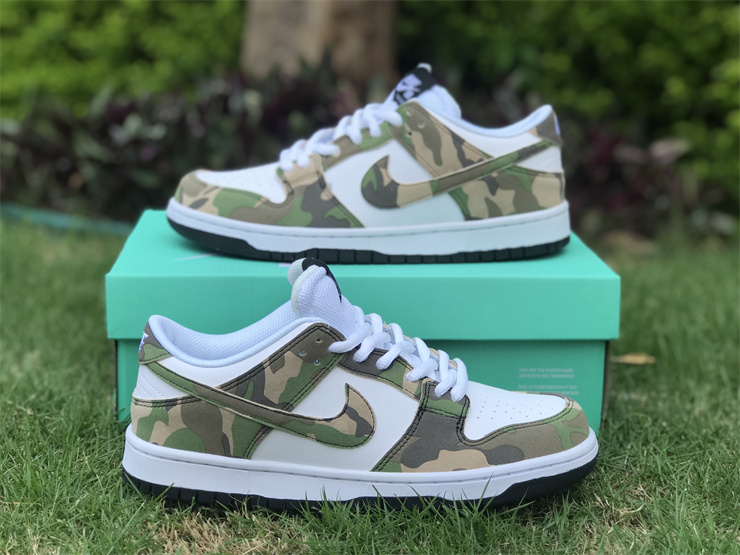 Nike Dunk Low Camouflage