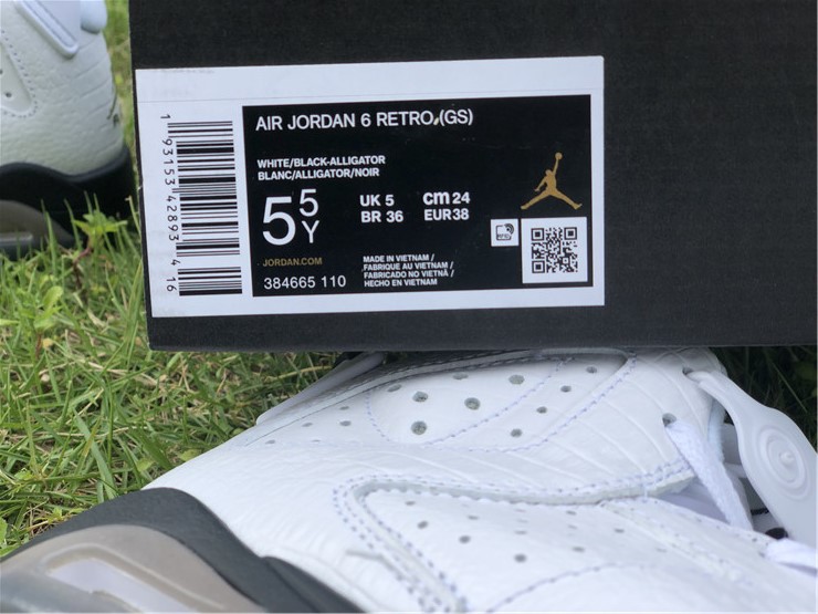 Air Jordan 6 GS “Alligator”