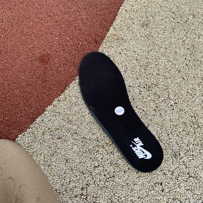 Air Jordan 1 Retro High OG “Homage To Home”