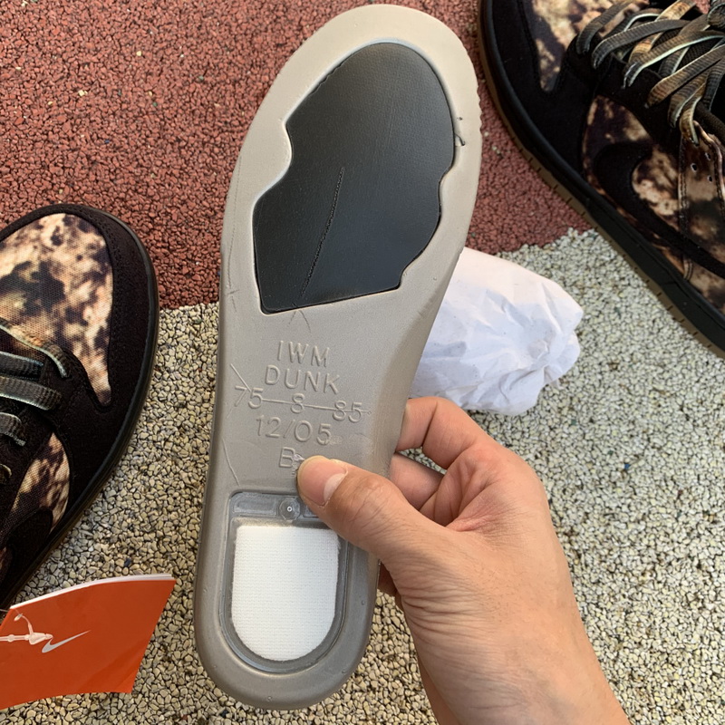 Nike SB Dunk Low Pushed 2