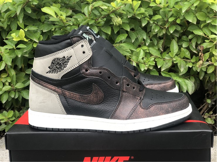 Air Jordan 1 “Rust Shadow”