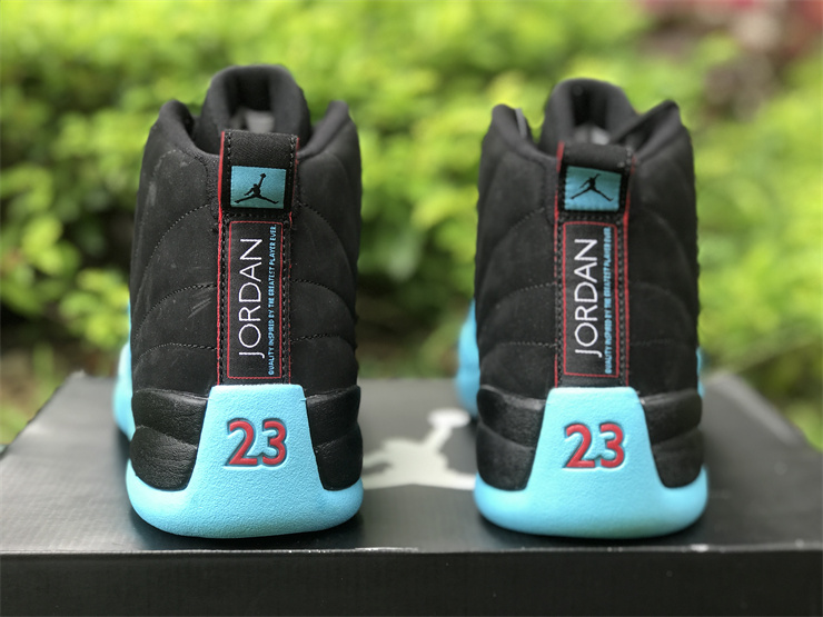 Air Jordan 12 Gamma Blue