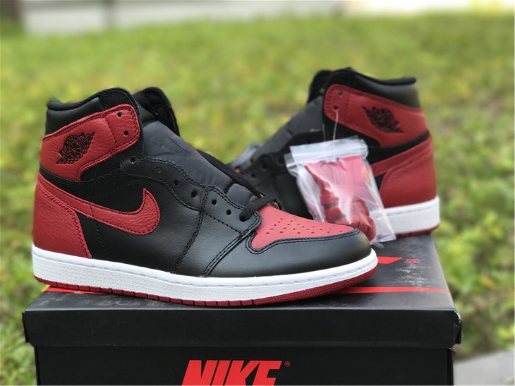 Air Jordan 1 “Prohibit”