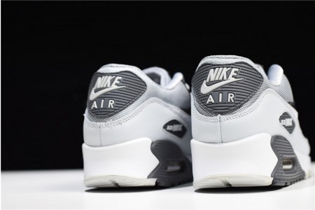Nike Air Max 90 Essential