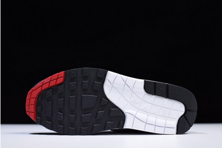 Nike Air Max 1 Anniversary - Nike