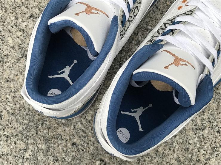 Air Jordan 3 “Wizards”