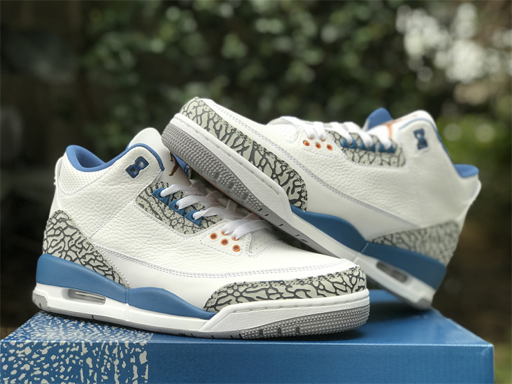 Air Jordan 3 “Wizards”