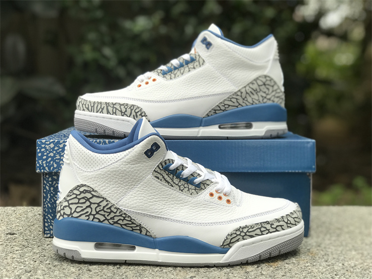 Air Jordan 3 “Wizards”