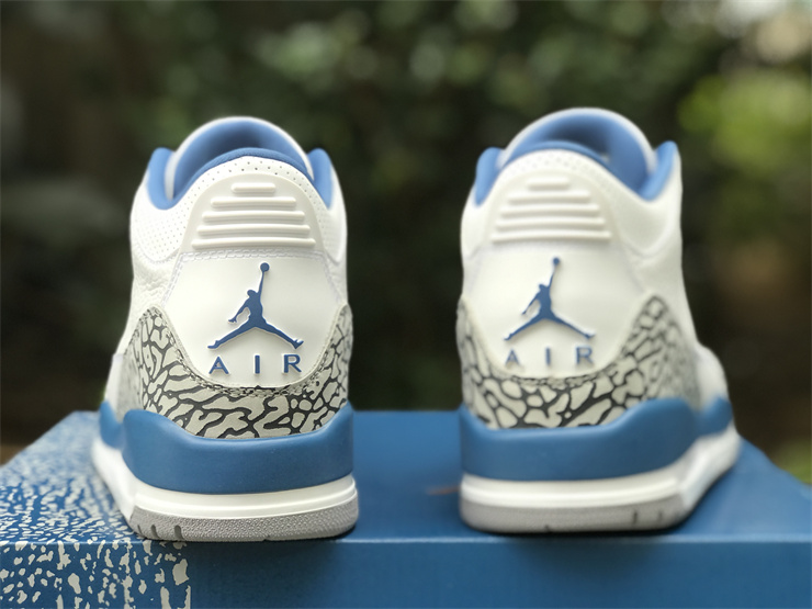 Air Jordan 3 “Wizards”