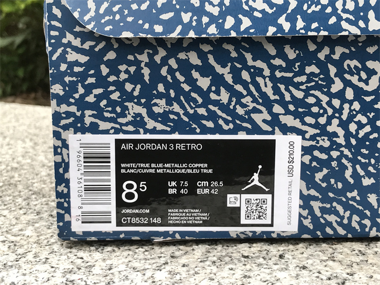 Air Jordan 3 “Wizards”