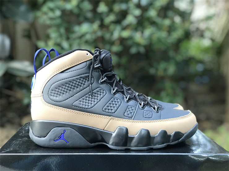 Air Jordan 9 