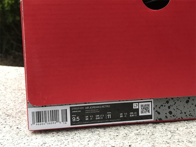 Air Jordan 6 