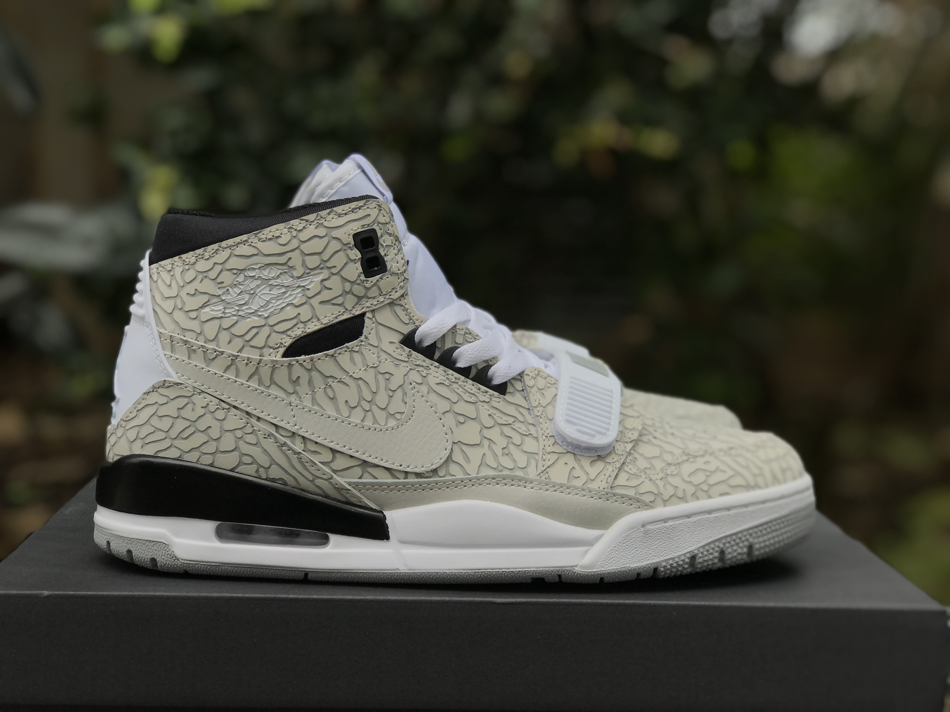 Air Jordan Legacy 312