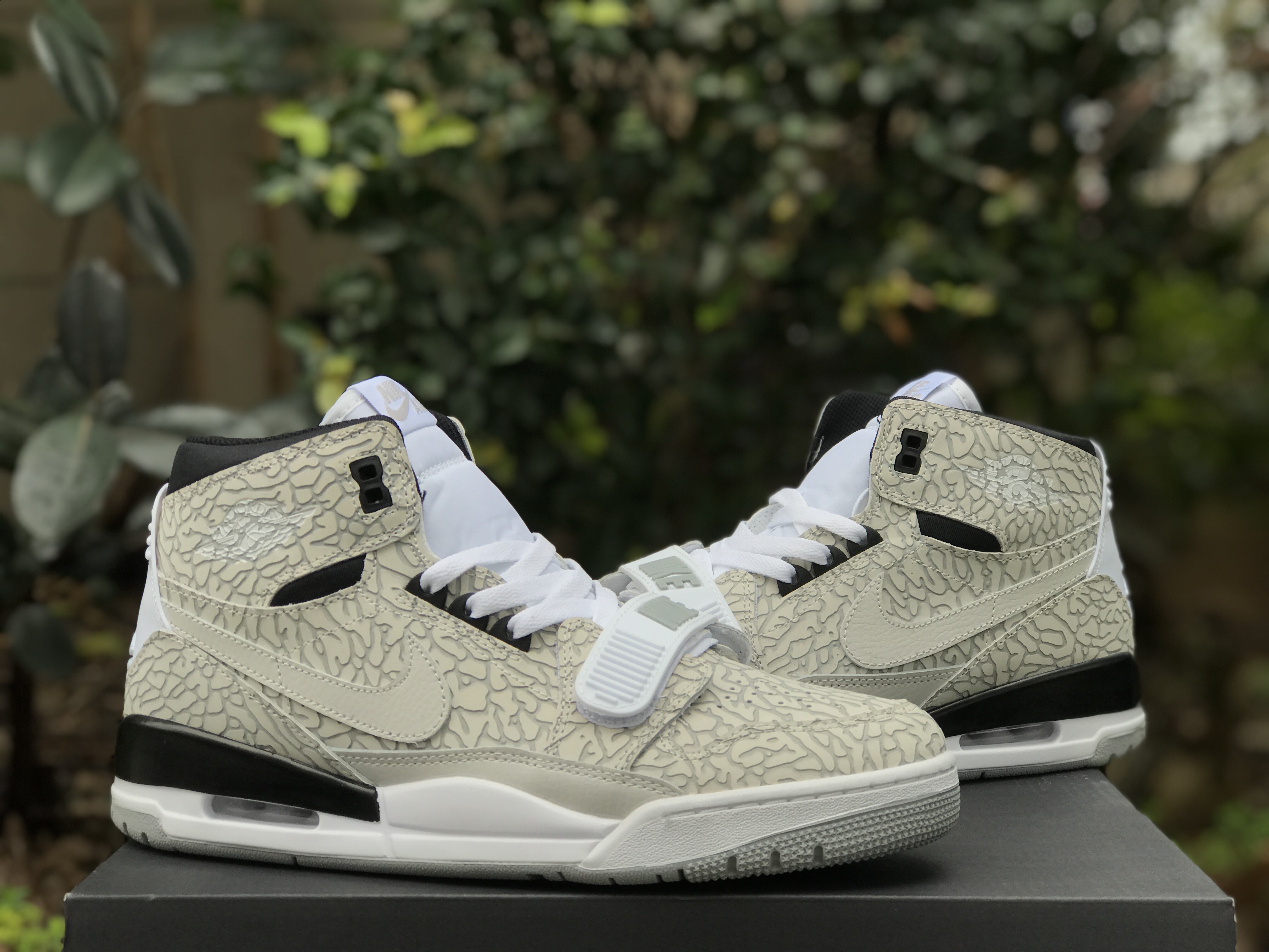 Air Jordan Legacy 312