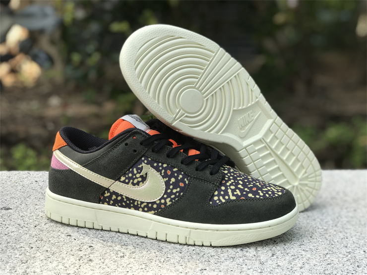 Nike Dunk Low“Rainbow Trout”
