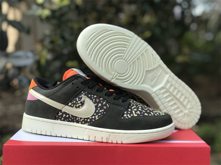 Nike Dunk Low“Rainbow Trout”