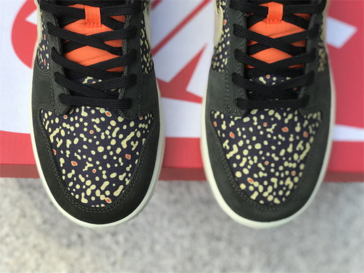 Nike Dunk Low“Rainbow Trout”