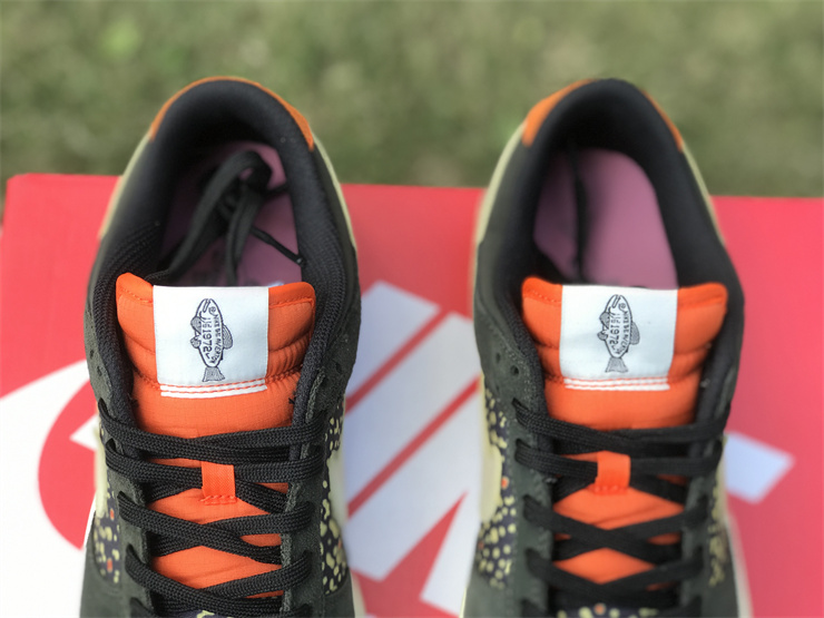 Nike Dunk Low“Rainbow Trout”