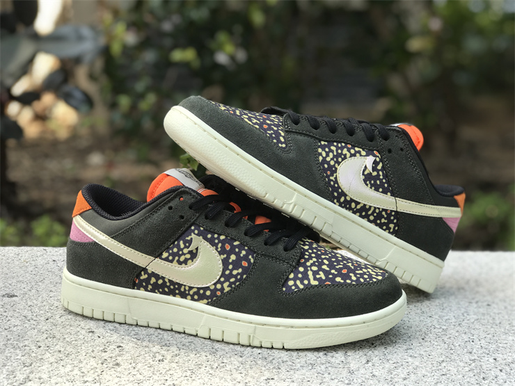 Nike Dunk Low“Rainbow Trout”