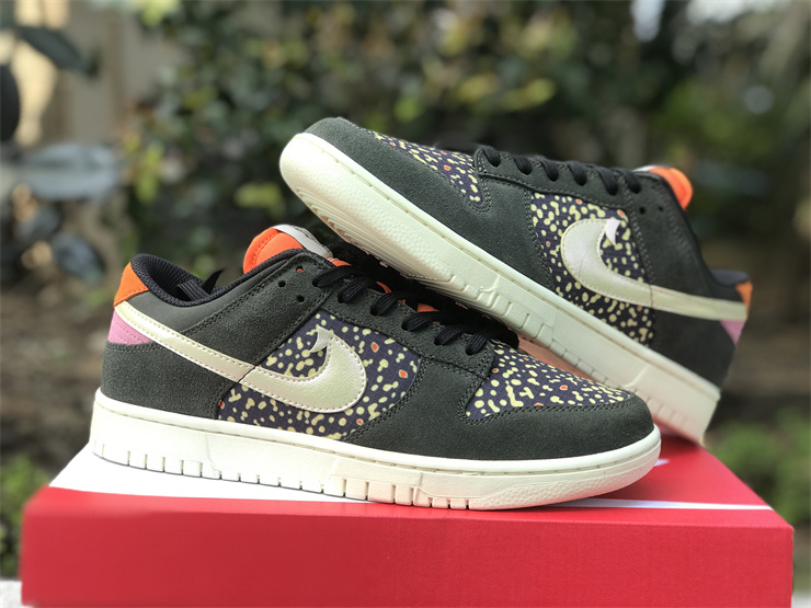 Nike Dunk Low“Rainbow Trout”