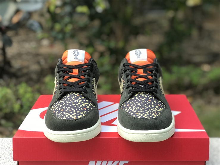 Nike Dunk Low“Rainbow Trout”