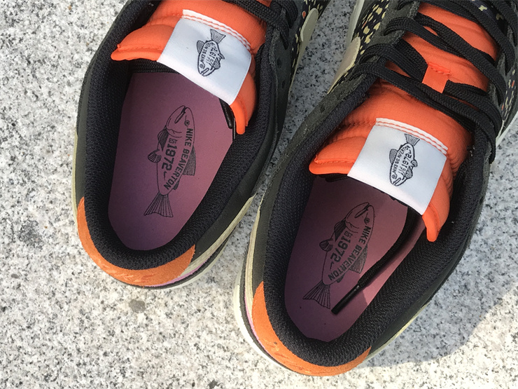 Nike Dunk Low“Rainbow Trout”