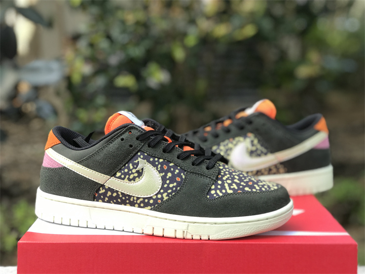 Nike Dunk Low“Rainbow Trout”