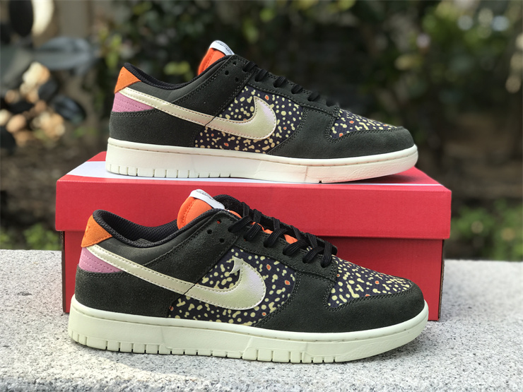 Nike Dunk Low“Rainbow Trout”