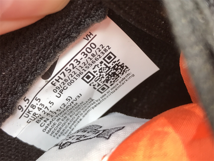 Nike Dunk Low“Rainbow Trout”