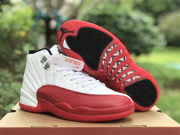 Air Jordan 12 