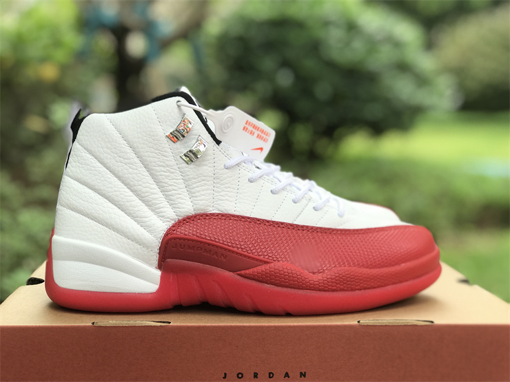 Air Jordan 12 