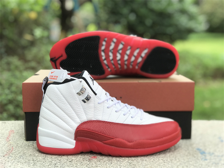 Air Jordan 12 