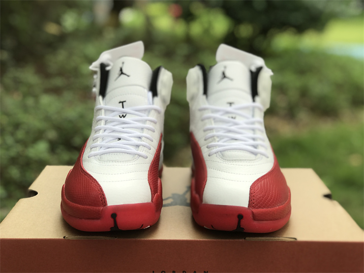 Air Jordan 12 