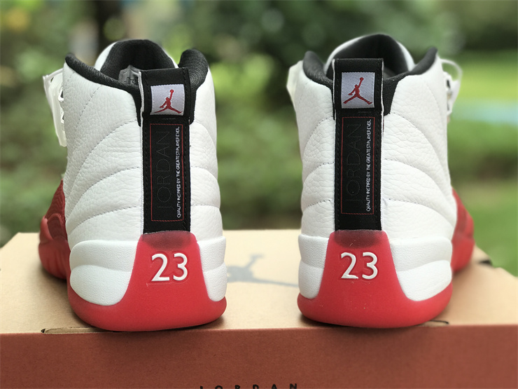 Air Jordan 12 