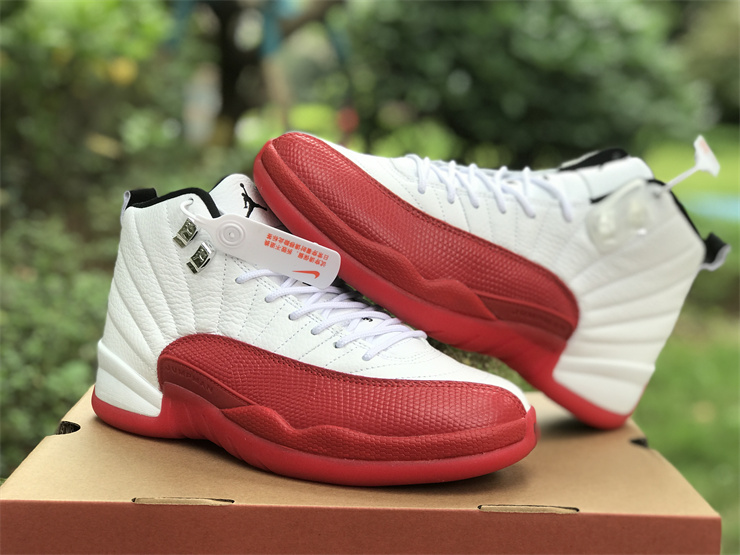 Air Jordan 12 