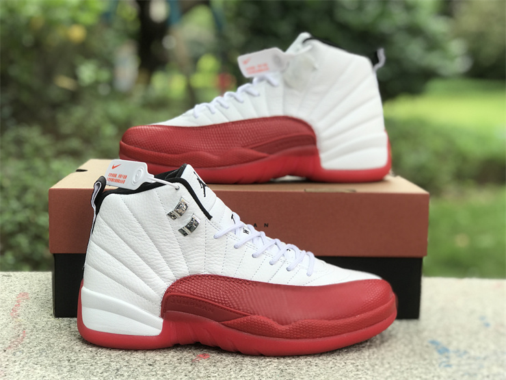 Air Jordan 12 