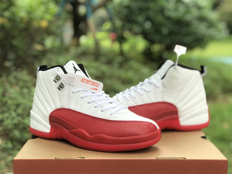 Air Jordan 12 