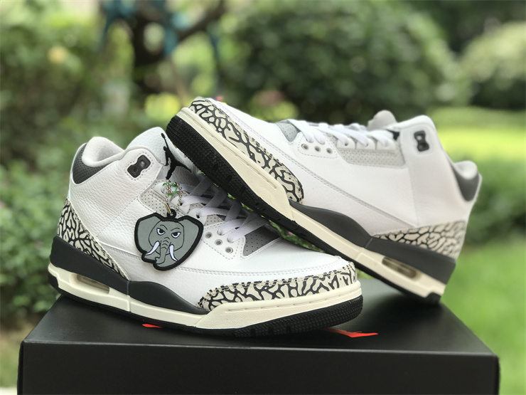 Air Jordan 3 GS “Hide N’ Sneak”
