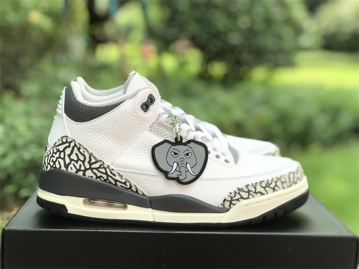 Air Jordan 3 GS “Hide N’ Sneak”