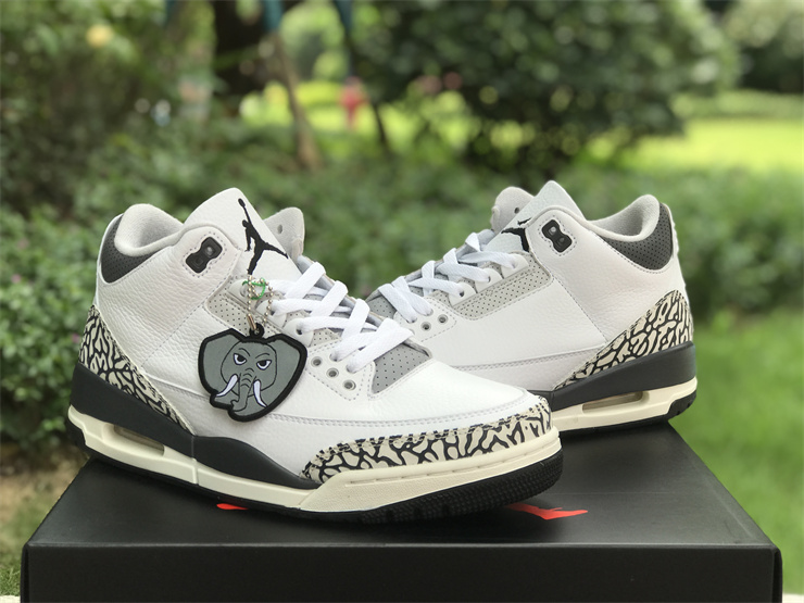 Air Jordan 3 GS “Hide N’ Sneak”