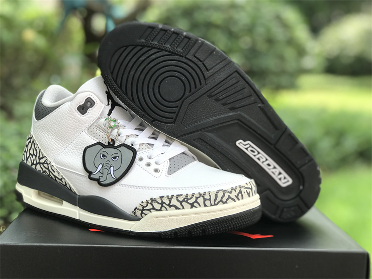 Air Jordan 3 GS “Hide N’ Sneak”